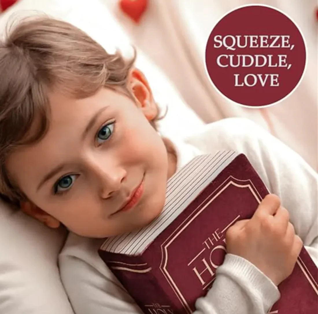 Plush Bible Pillow Toy